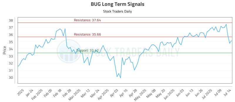 BUG Long Term Analysis for July 14 2025