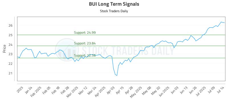 BUI Long Term Analysis for July 14 2025 BUI Long Term Analysis for July 14 2025