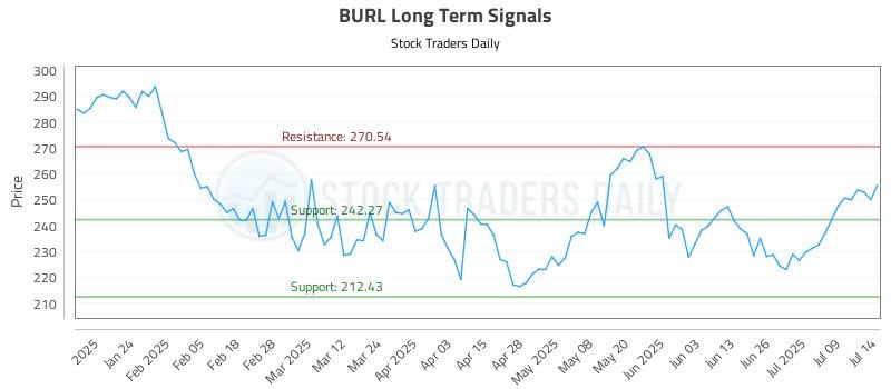 BURL Long Term Analysis for July 14 2025