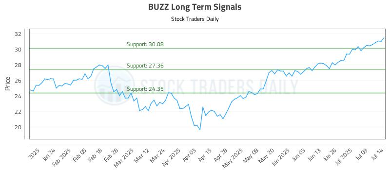 BUZZ Long Term Analysis for July 14 2025 BUZZ Long Term Analysis for July 14 2025