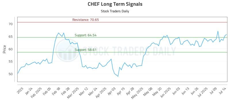 CHEF Long Term Analysis for July 14 2025
