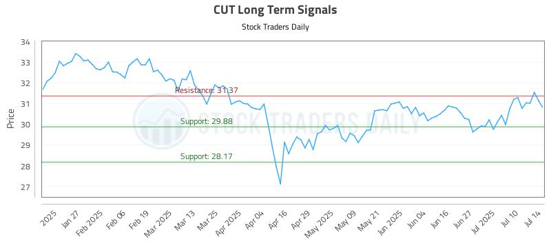 CUT Long Term Analysis for July 15 2025 CUT Long Term Analysis for July 15 2025