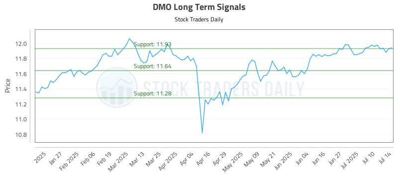 DMO Long Term Analysis for July 15 2025 DMO Long Term Analysis for July 15 2025