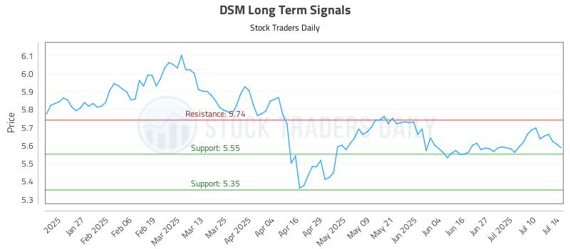 DSM Long Term Analysis for July 15 2025