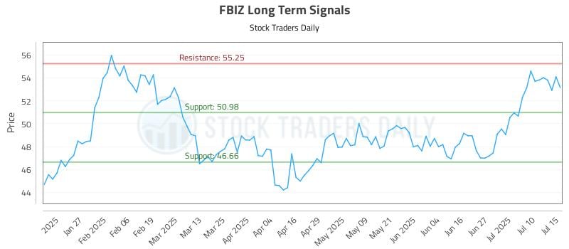 FBIZ Long Term Analysis for July 15 2025