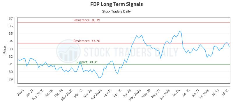FDP Long Term Analysis for July 15 2025