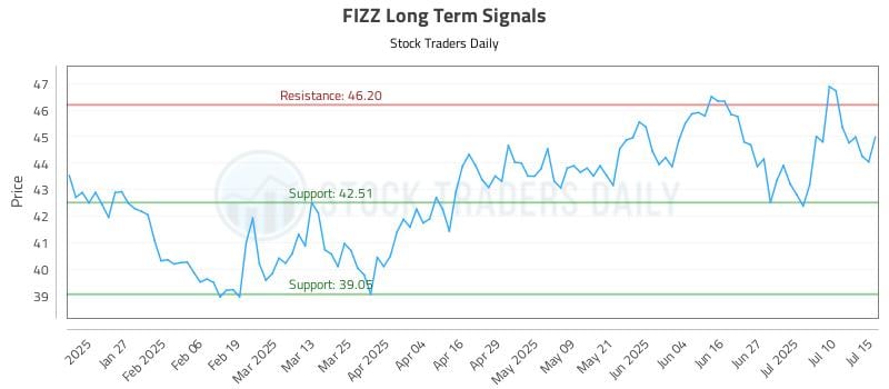 FIZZ Long Term Analysis for July 15 2025