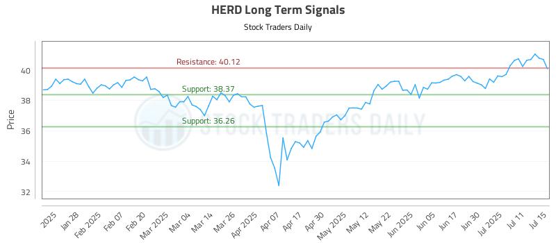 HERD Long Term Analysis for July 16 2025