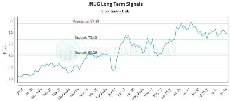 JNUG Long Term Analysis for July 16 2025