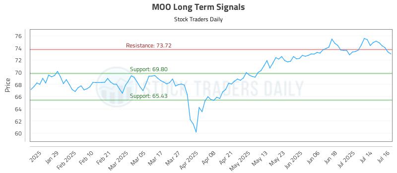 MOO Long Term Analysis for July 17 2025