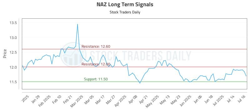 NAZ Long Term Analysis for July 17 2025
