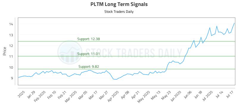 PLTM Long Term Analysis for July 17 2025