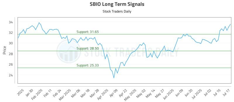 SBIO Long Term Analysis for July 18 2025