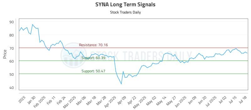 SYNA Long Term Analysis for July 18 2025