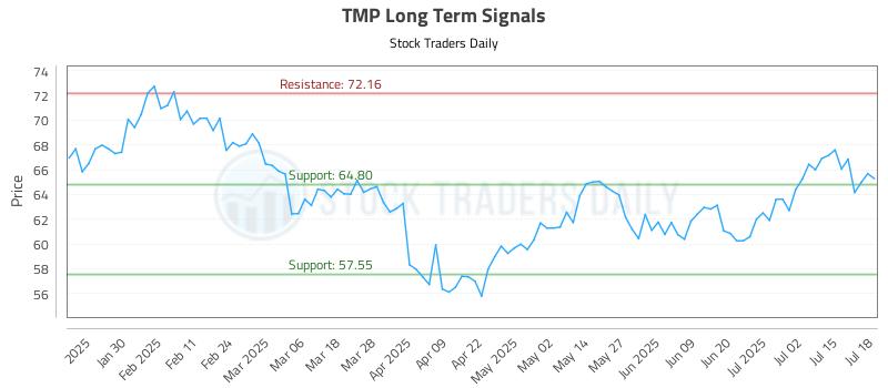 TMP Long Term Analysis for July 18 2025