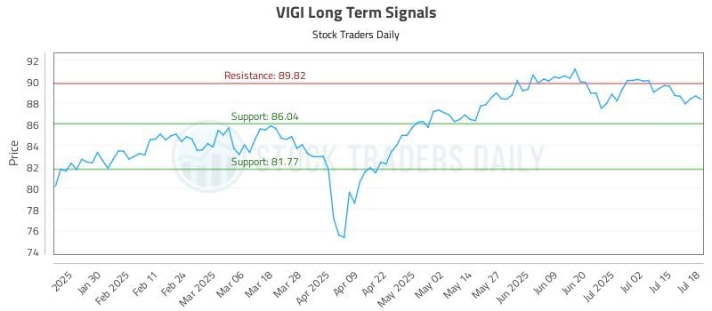 VIGI Long Term Analysis for July 19 2025