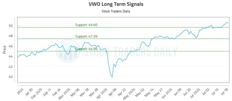 VWO Long Term Analysis for July 19 2025