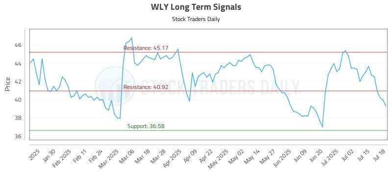 WLY Long Term Analysis for July 19 2025