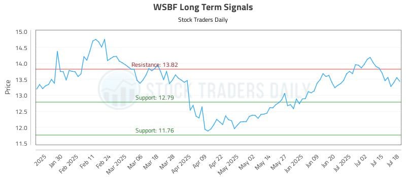 WSBF Long Term Analysis for July 19 2025 WSBF Long Term Analysis for July 19 2025