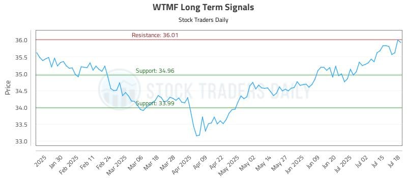 WTMF Long Term Analysis for July 19 2025
