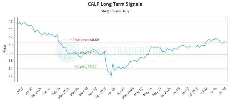 CALF Long Term Analysis for July 19 2025