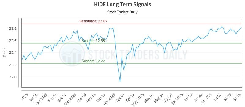 HIDE Long Term Analysis for July 19 2025 HIDE Long Term Analysis for July 19 2025