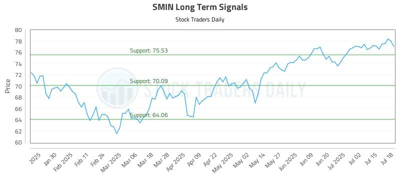 SMIN Long Term Analysis for July 19 2025 SMIN Long Term Analysis for July 19 2025