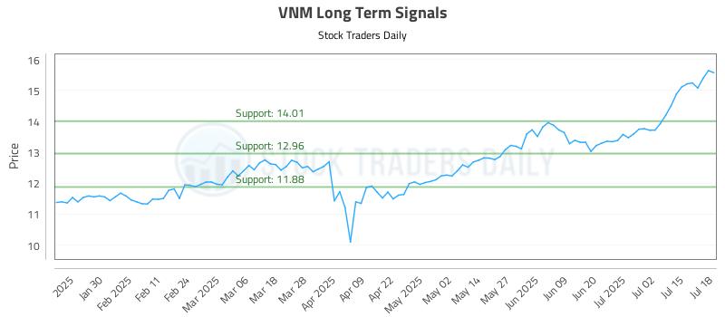 VNM Long Term Analysis for July 20 2025