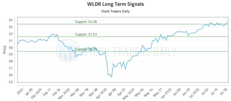 WLDR Long Term Analysis for July 20 2025