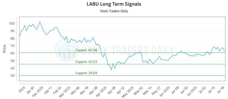 LABU Long Term Analysis for July 20 2025