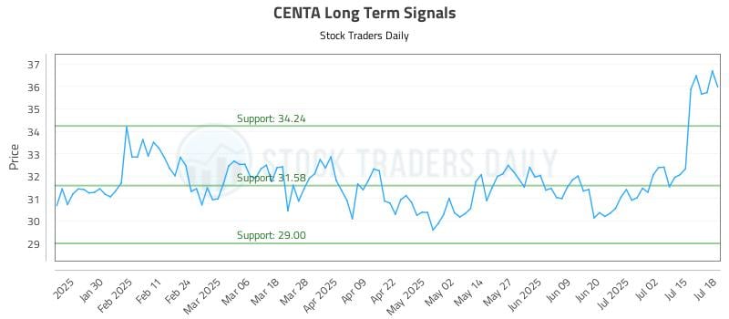 CENTA Long Term Analysis for July 20 2025