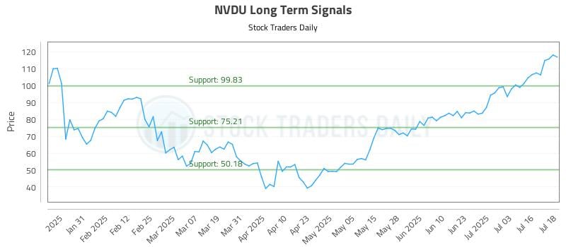 NVDU Long Term Analysis for July 21 2025 NVDU Long Term Analysis for July 21 2025
