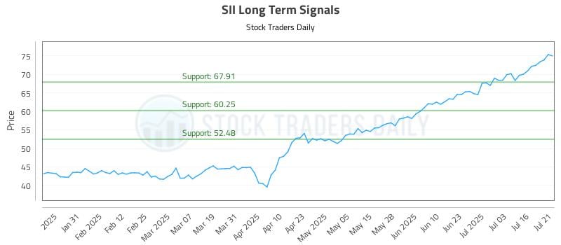 SII Long Term Analysis for July 21 2025