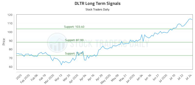 DLTR Long Term Analysis for July 25 2025