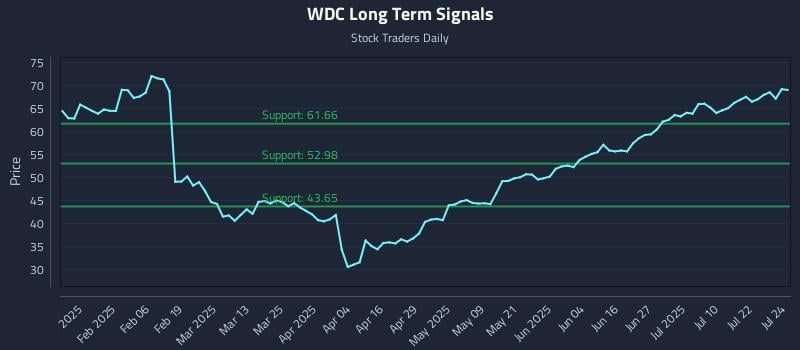 WDC Long Term Analysis for July 25 2025