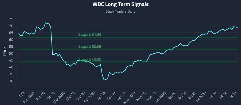 WDC Long Term Analysis for July 26 2025