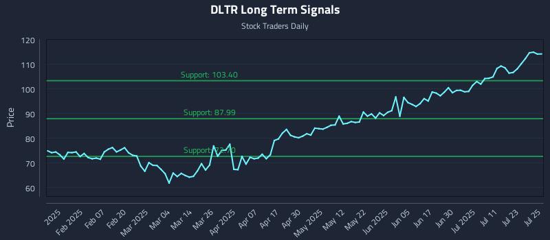 DLTR Long Term Analysis for July 28 2025