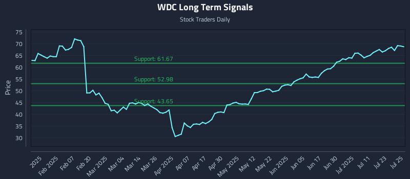 WDC Long Term Analysis for July 28 2025