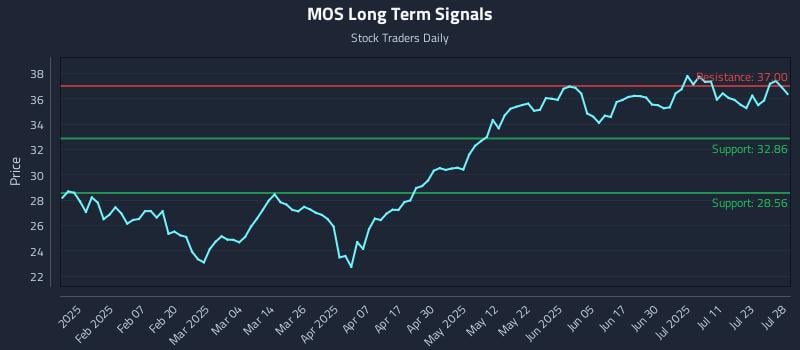 MOS Long Term Analysis for July 28 2025 MOS Long Term Analysis for July 28 2025