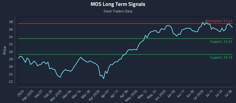 MOS Long Term Analysis for July 28 2025 MOS Long Term Analysis for July 28 2025