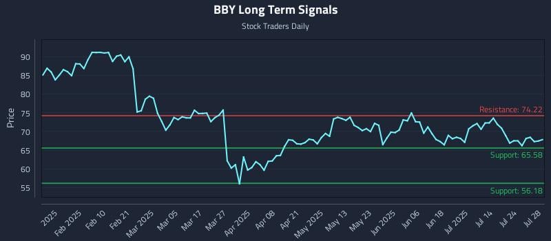BBY Long Term Analysis for July 29 2025