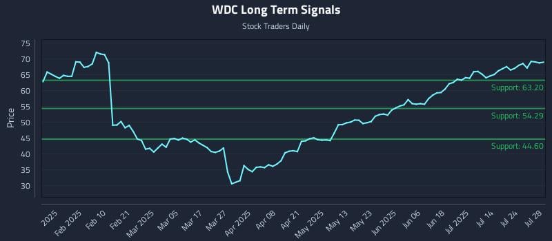 WDC Long Term Analysis for July 29 2025