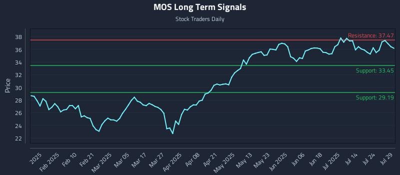 MOS Long Term Analysis for July 29 2025 MOS Long Term Analysis for July 29 2025