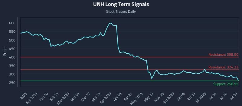 UNH Long Term Analysis for July 29 2025