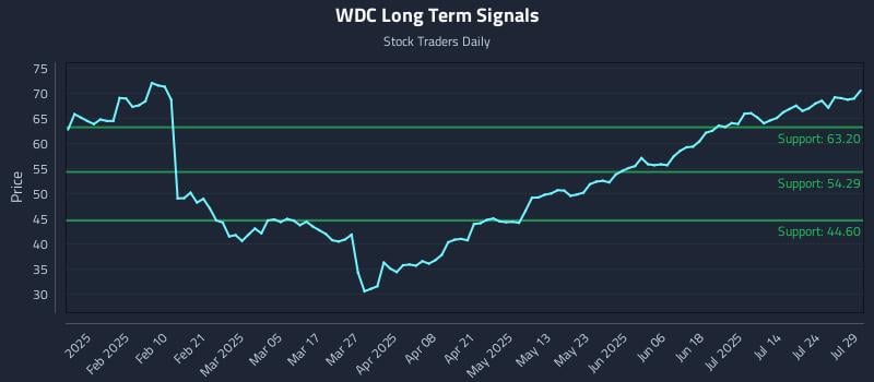 WDC Long Term Analysis for July 29 2025