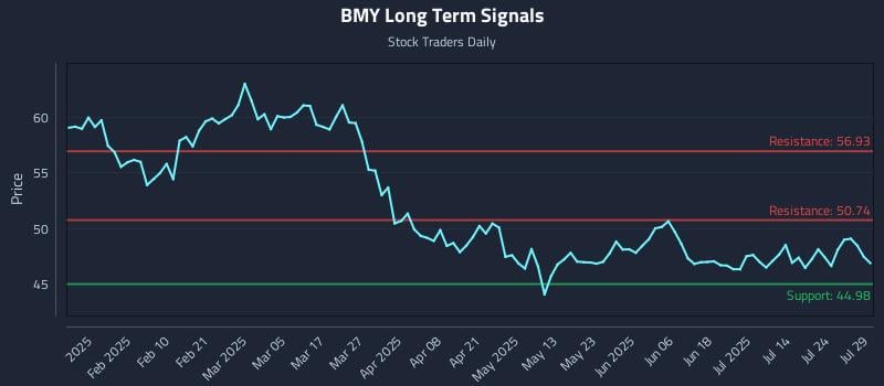 BMY Long Term Analysis for July 29 2025