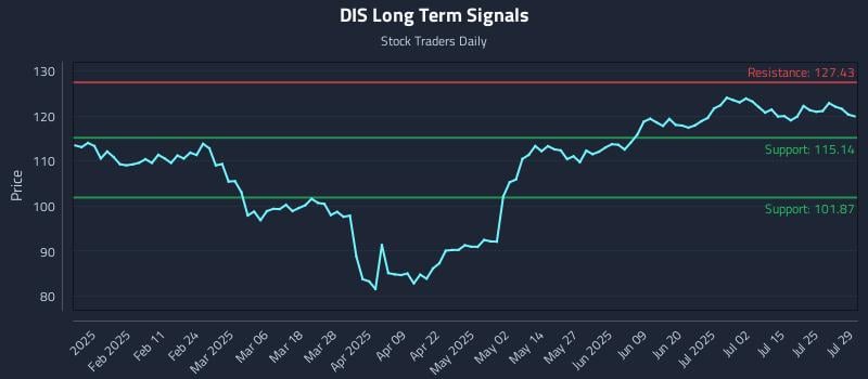 DIS Long Term Analysis for July 30 2025