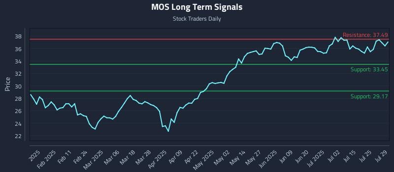MOS Long Term Analysis for July 30 2025