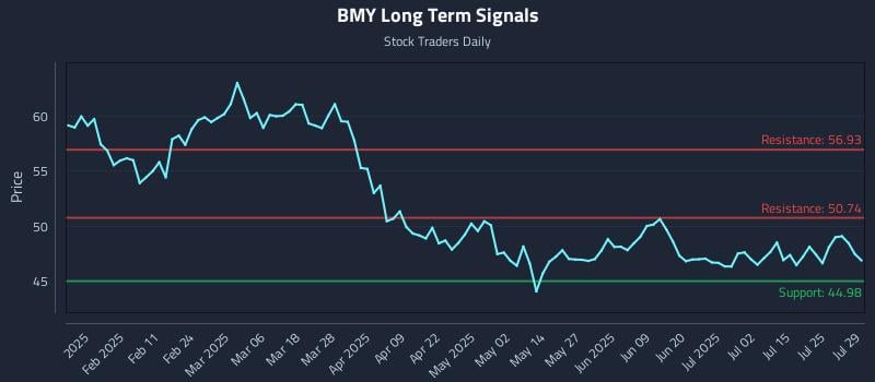 BMY Long Term Analysis for July 30 2025 BMY Long Term Analysis for July 30 2025
