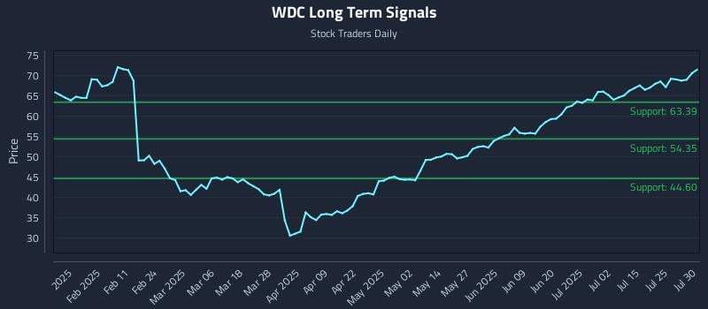 WDC Long Term Analysis for July 30 2025 WDC Long Term Analysis for July 30 2025